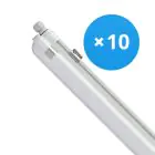 Mehrfachpackung 10x Philips LED Feuchtraumleuchte CoreLine WT120C 42.9W 6000lm - 840 Kaltweiß | 150cm